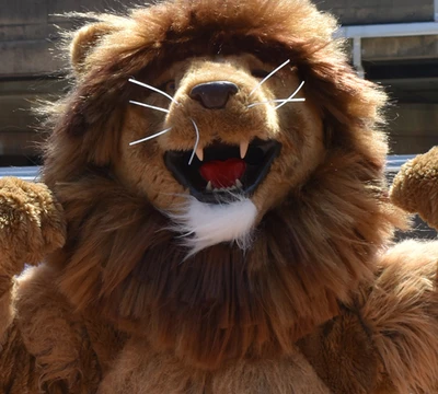 rvcc lion mascot