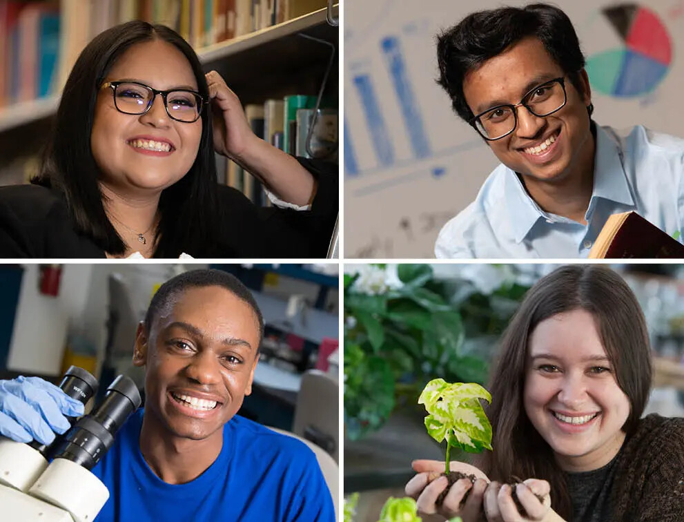 photo with four squares of student faces