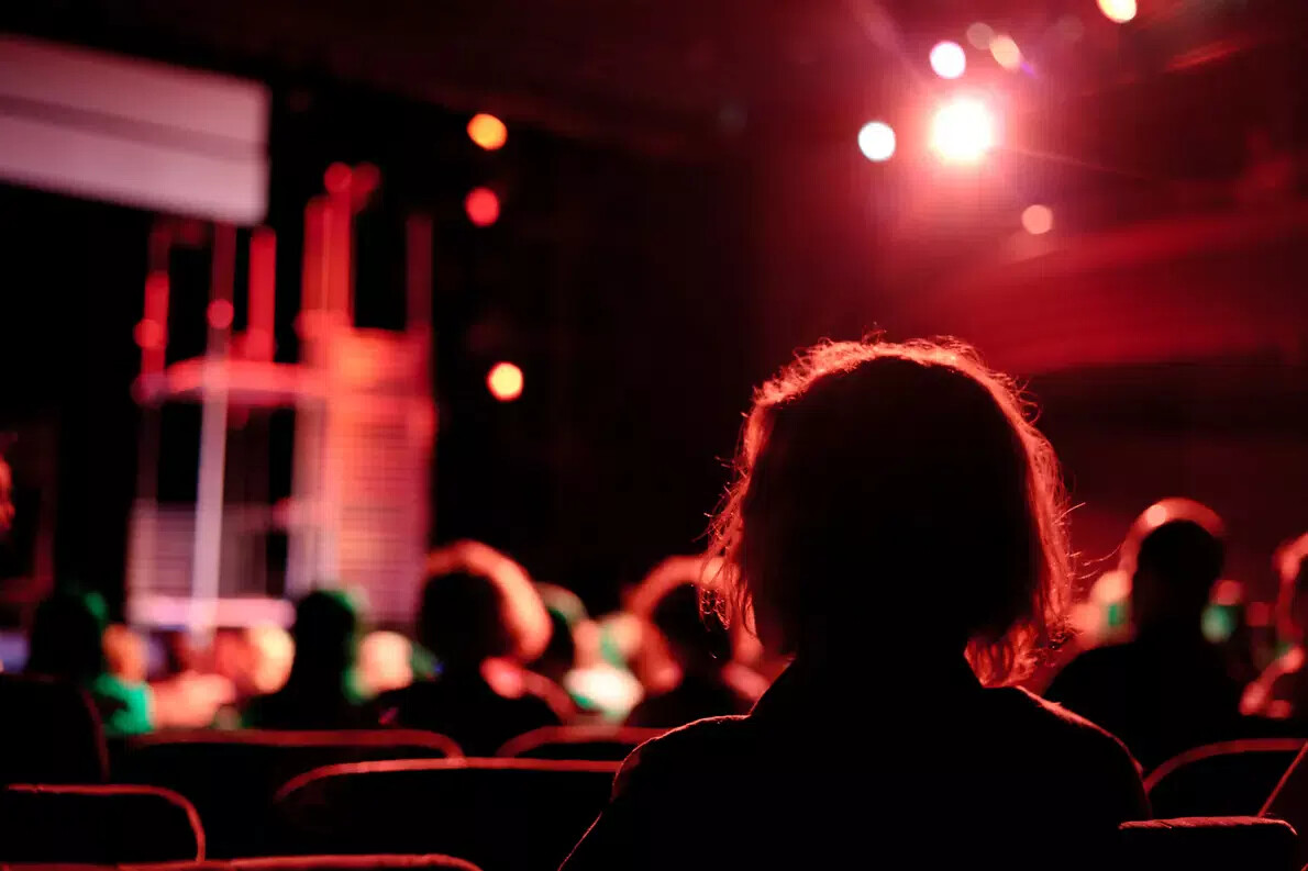 backs of heads in theatre audience