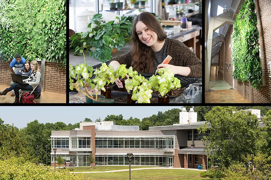 Various plant life on RVCC campus