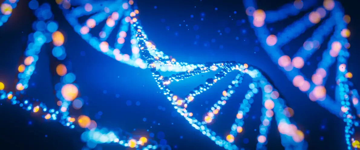 study of gene structure of cell