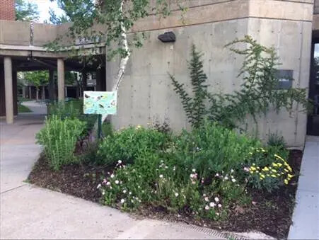 garden outside planetarium