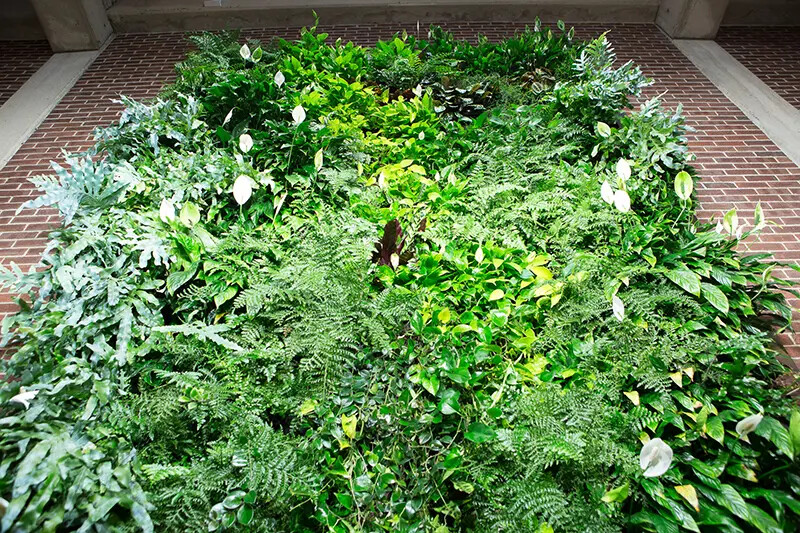 section of green wall