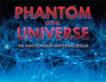 Phantom of the Universe